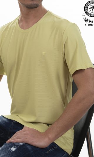 Shirt pistaziengrün ST-91483-1